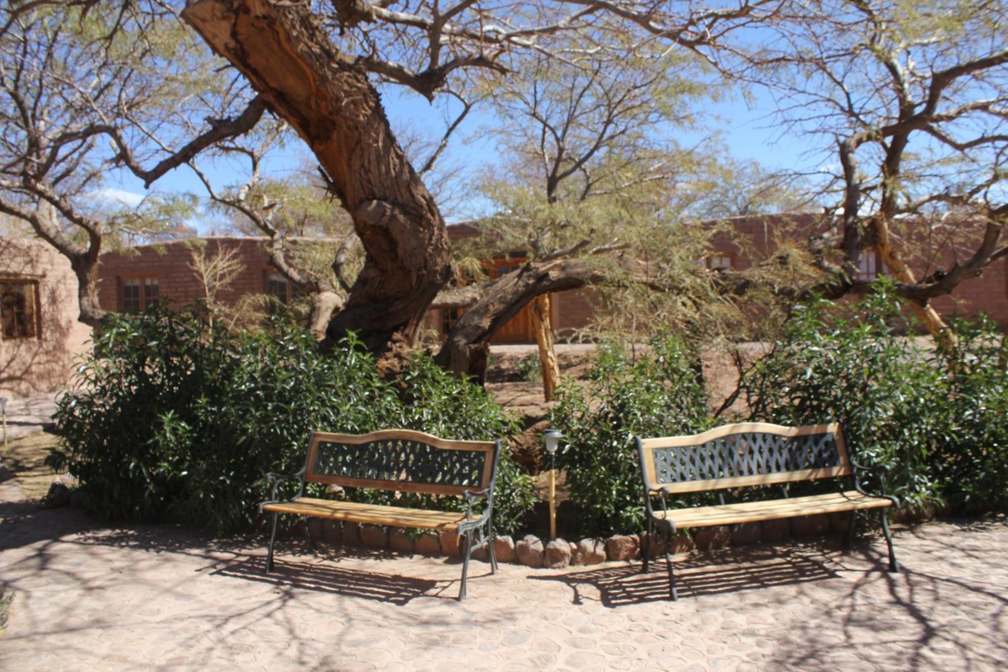 Hotel Casa Don Esteban San Pedro de Atacama Dış mekan fotoğraf