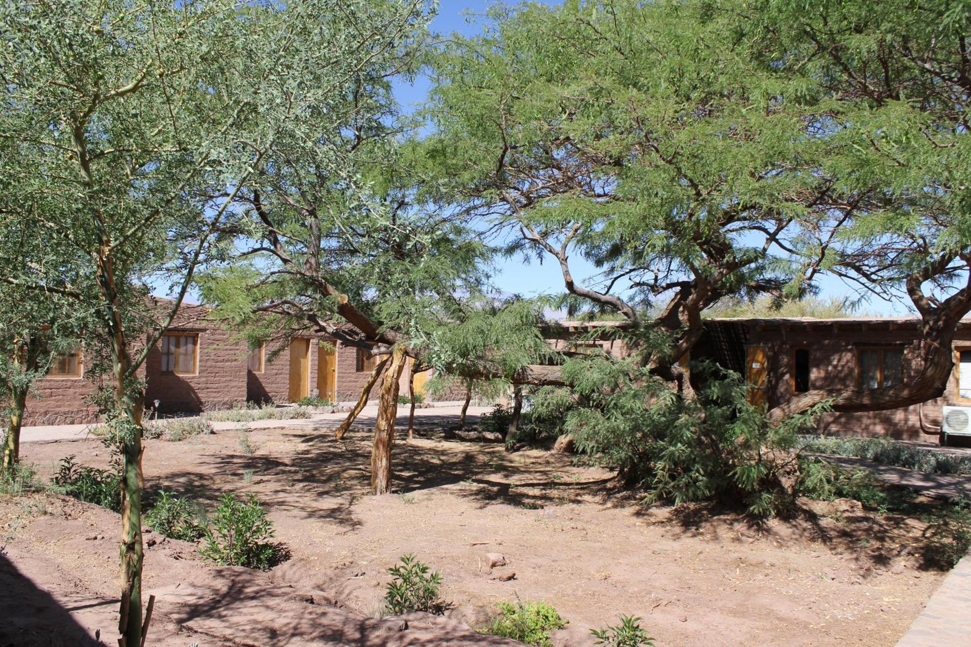 Hotel Casa Don Esteban San Pedro de Atacama Dış mekan fotoğraf