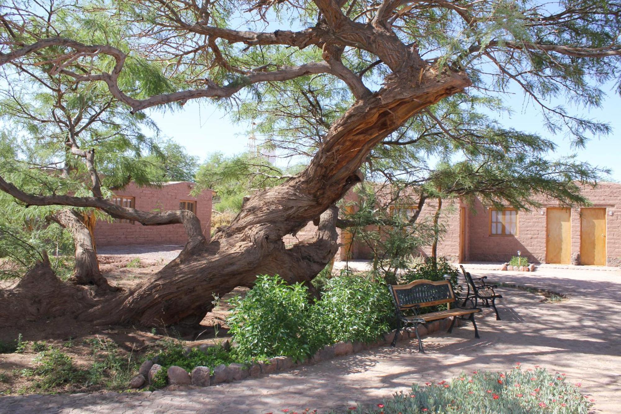 Hotel Casa Don Esteban San Pedro de Atacama Dış mekan fotoğraf